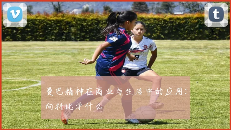 曼巴精神在商业与生活中的应用：向科比学什么